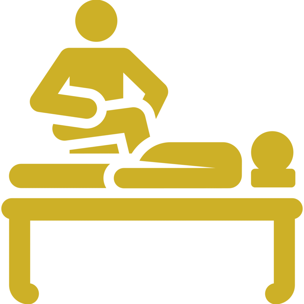 FISIOTERAPIA
