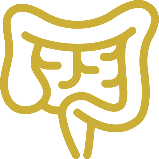 Digestivo